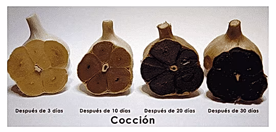 Cocción Ajo Negro